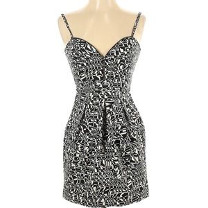 Trafaluc by Zara Dress (small)